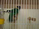DSC05748