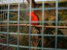 DSC05749