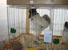 DSC05789