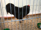 DSC05804