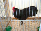 DSC05806