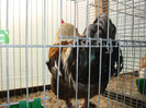 DSC05809
