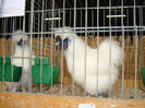 DSC05812