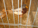DSC05815