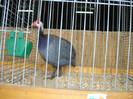 DSC05819