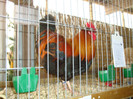 DSC05842