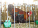 DSC05853