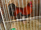 DSC05855