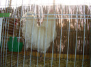 DSC05856