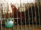 DSC05864