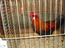 DSC05865