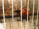 DSC05872