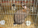 DSC05880