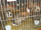 DSC05881