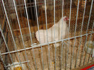 DSC05882