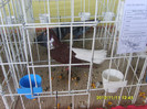 S8304244
