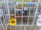 S8304251