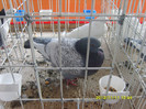 S8304262