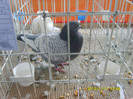 S8304263