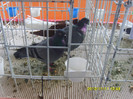 S8304280
