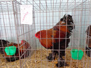 DSC00149