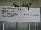 austellung-nov 102