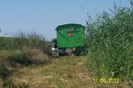 Picture 031