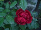 DSC07839