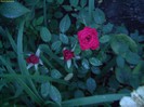 DSC07926