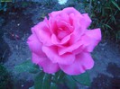 DSC07934