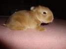 foto 344