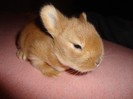 foto 348