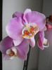 DSCN0059