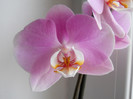 DSCN0062