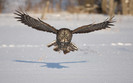 unnamed--ba24cc67a5-3274x2062