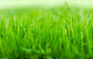 Linix-linux-mint-ded8492abf-1920x1239