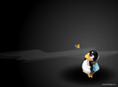 Linux-linux-1600x1200