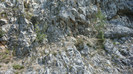DSC09906
