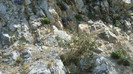 DSC09909