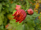 DSCN1769