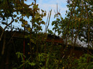DSCN1773