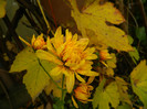 DSCN1779