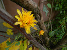DSCN1780