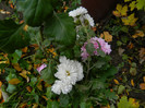 DSCN1785