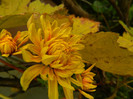 DSCN1787