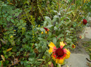 DSCN1792