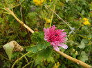 DSCN1793