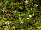 DSCN1795