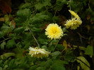 DSCN1796