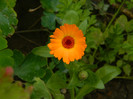 DSCN1798
